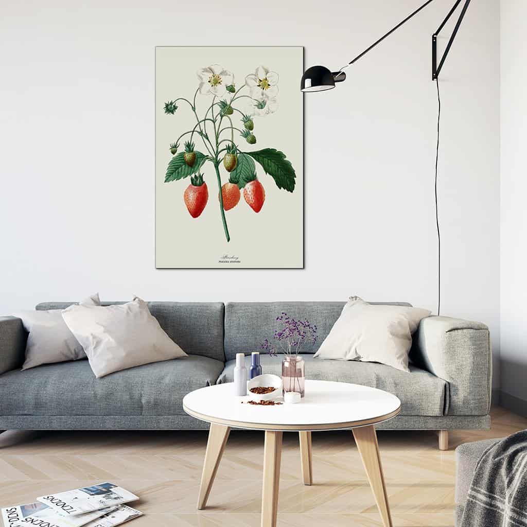 Onze meest geliefde zomervrucht: de aardbei