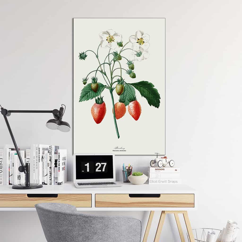 Onze meest geliefde zomervrucht: de aardbei