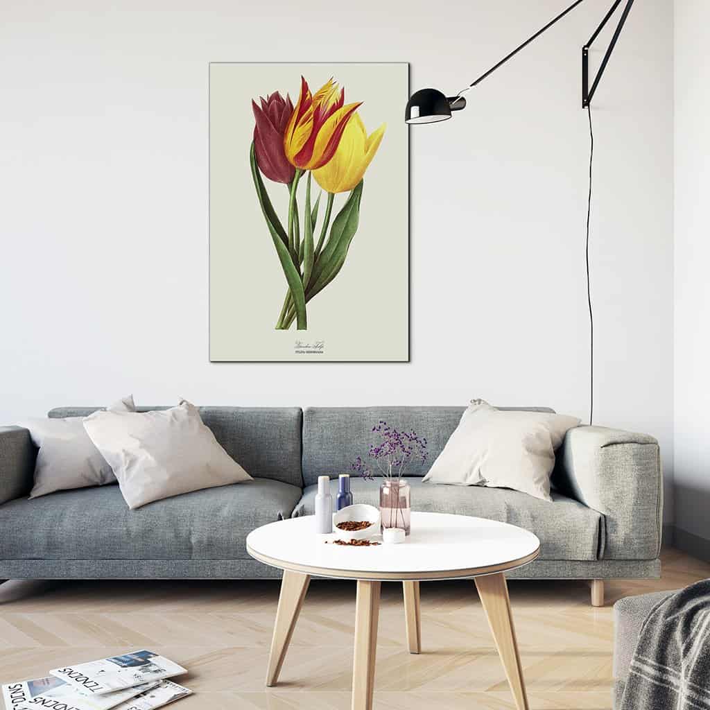 Tuin Tulp