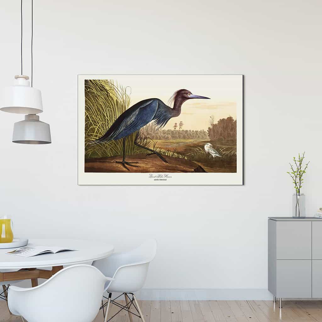 Grote blauwe reiger