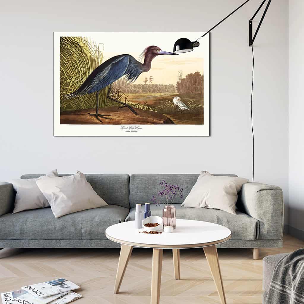 Grote blauwe reiger