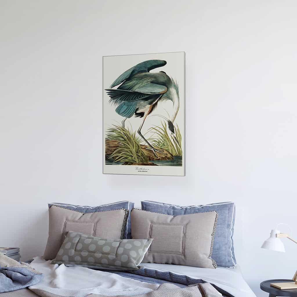 Grote blauwe reiger