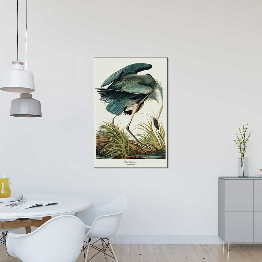 Grote blauwe reiger