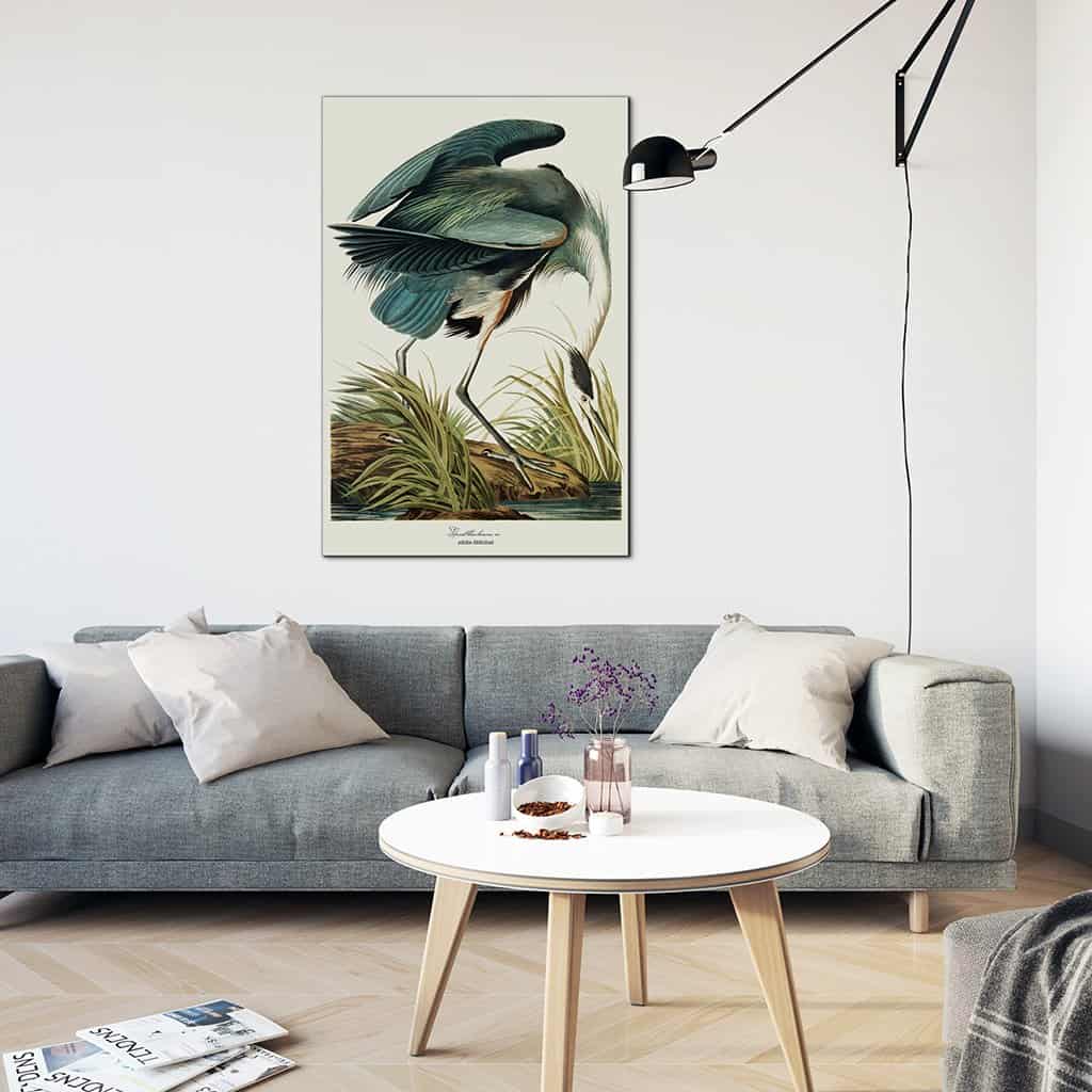 Grote blauwe reiger