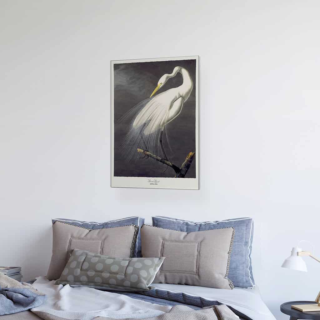 Grote zilverreiger