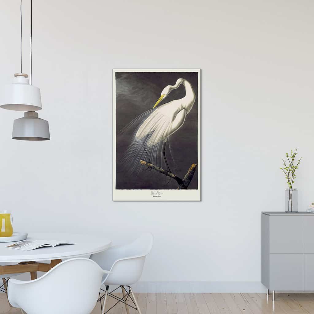 Grote zilverreiger
