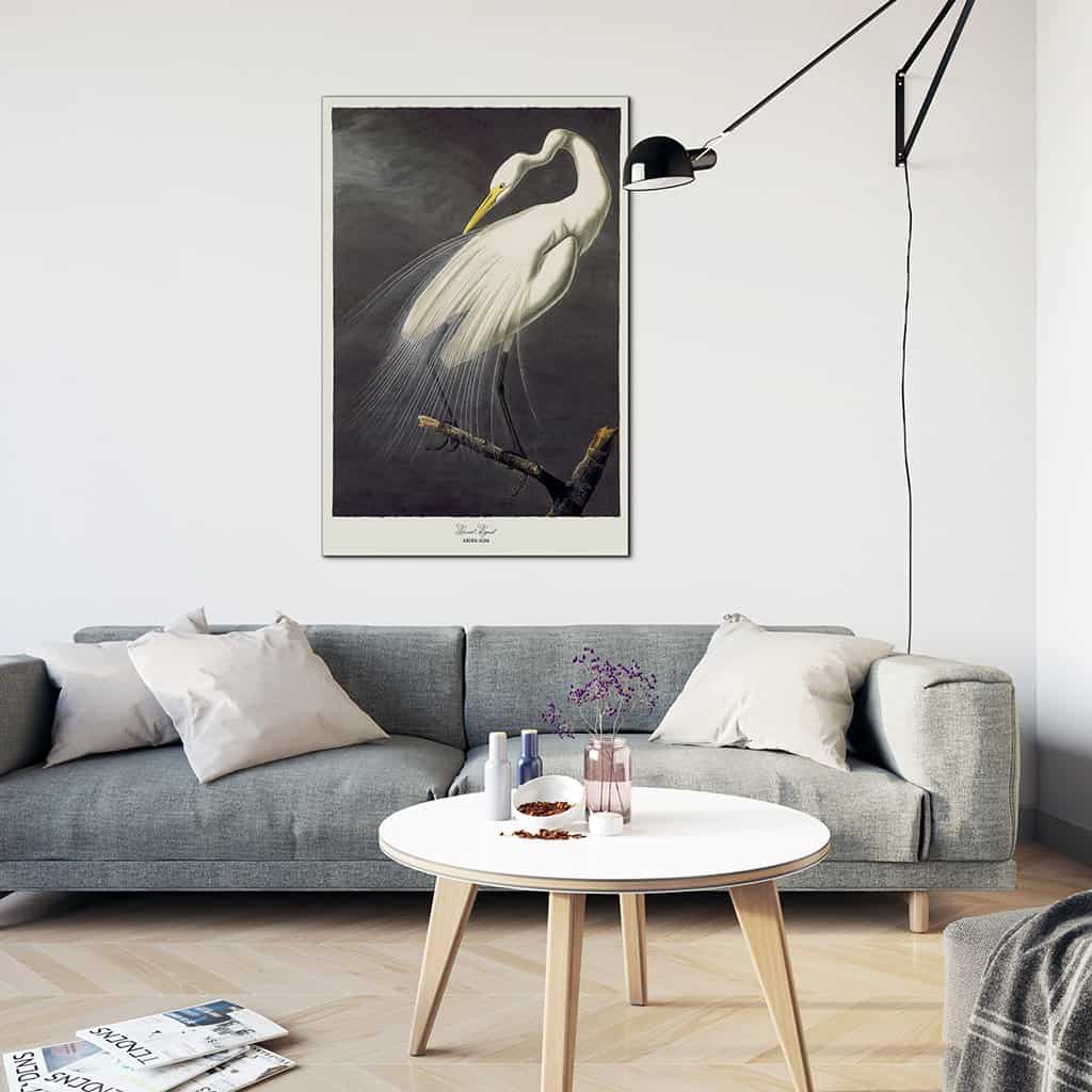 Grote zilverreiger
