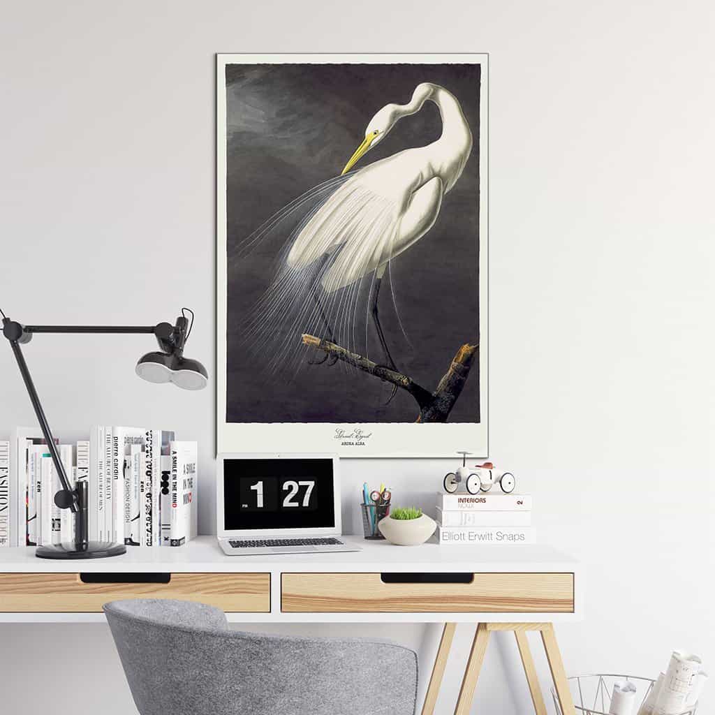 Grote zilverreiger
