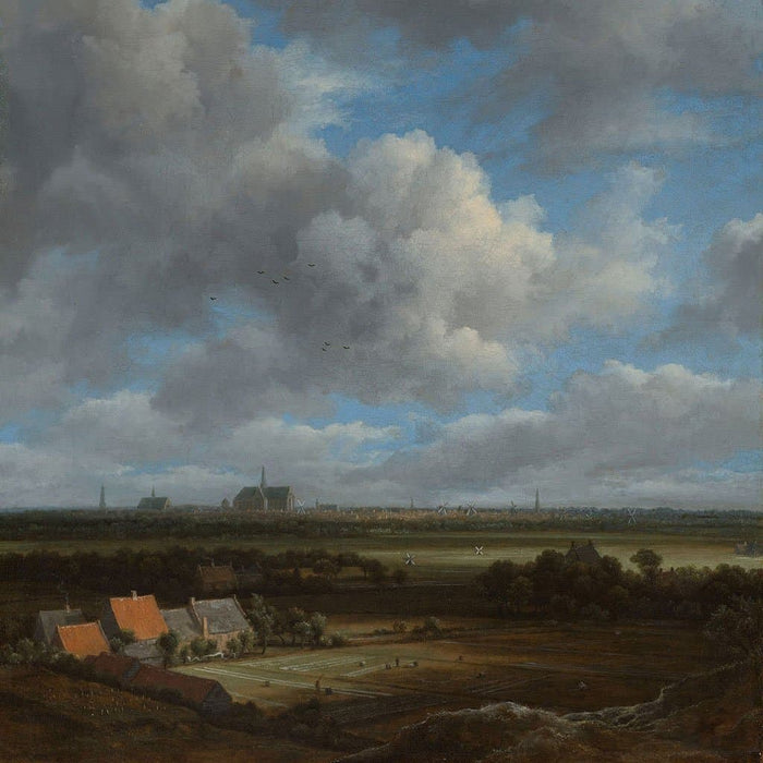 Gezicht op Haarlem vanuit het noordwesten (Jacob Van Ruisdael)