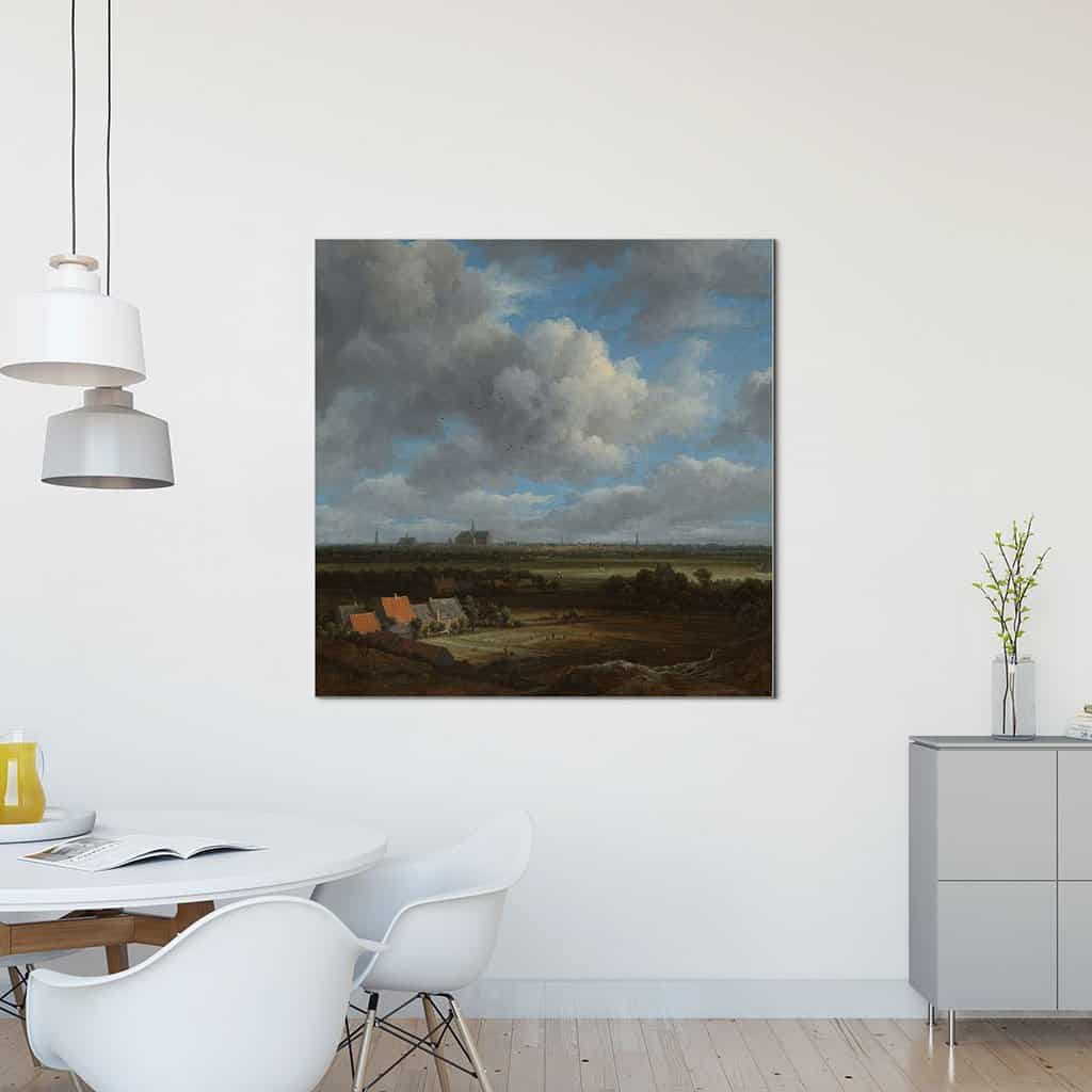 Gezicht op Haarlem vanuit het noordwesten (Jacob Van Ruisdael)