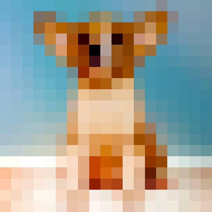 Hond - Pixel Art