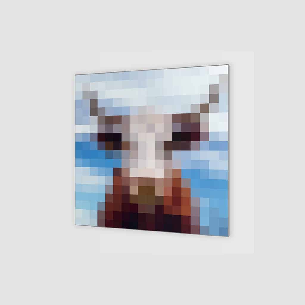 Koe - Pixel Art