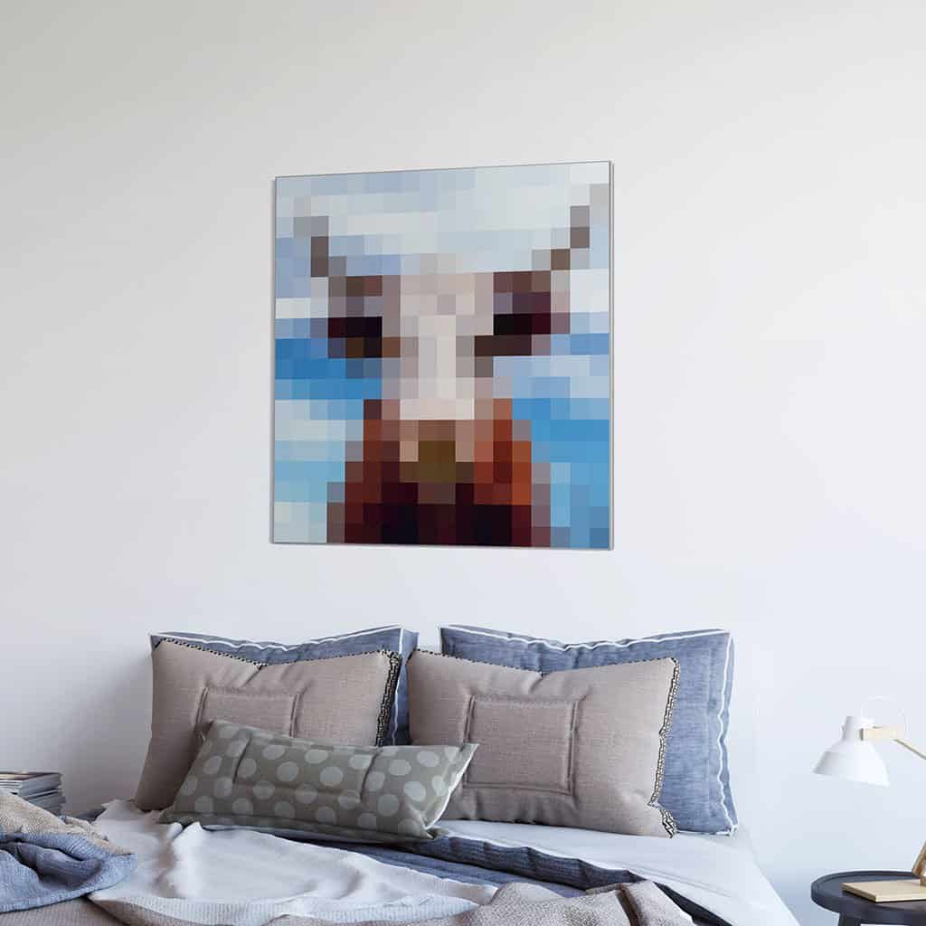 Koe - Pixel Art