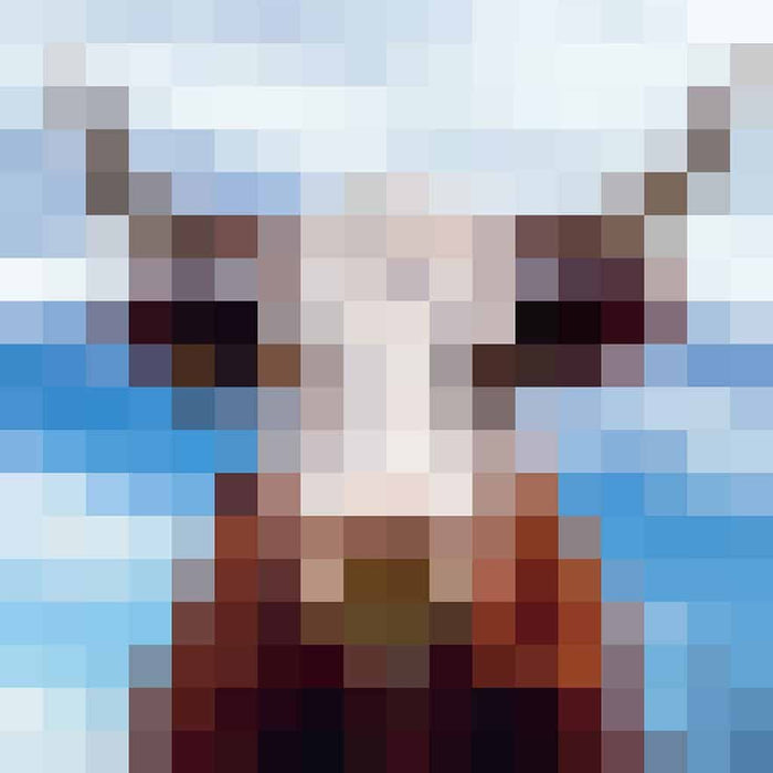 Koe - Pixel Art