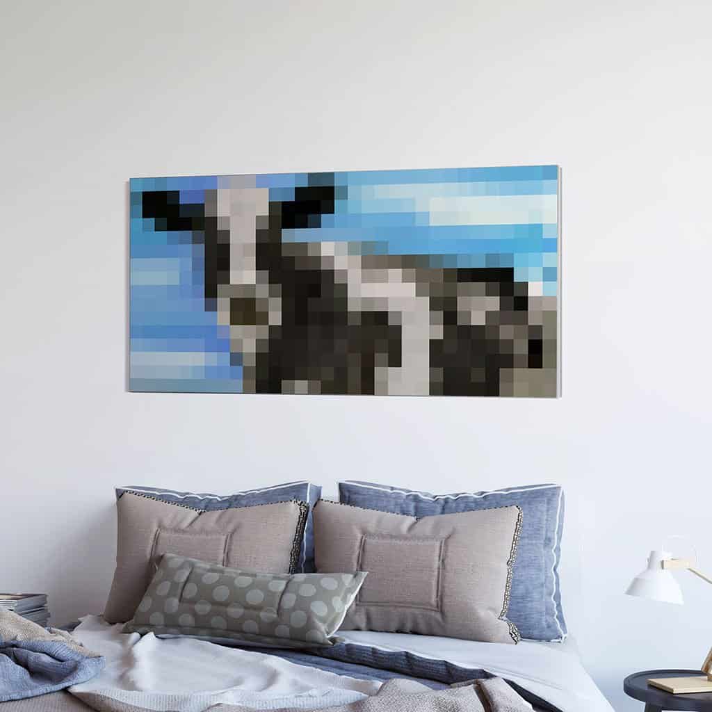 Koe - Pixel Art