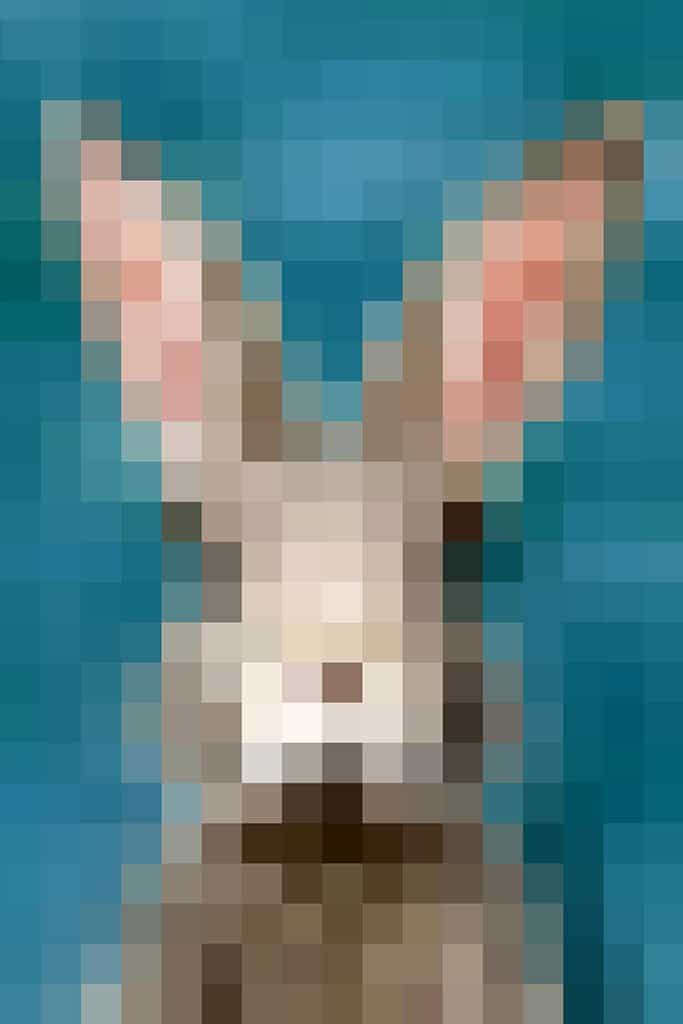 Konijn - Pixel Art