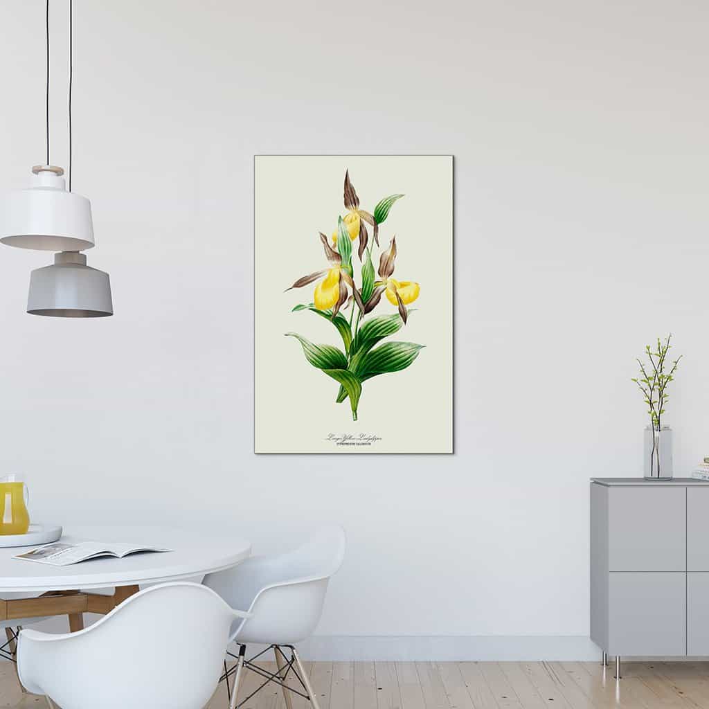 Groot Geel lieveheersbeestje