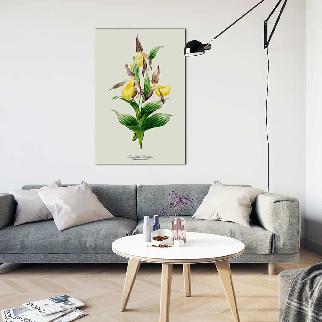 Groot Geel lieveheersbeestje