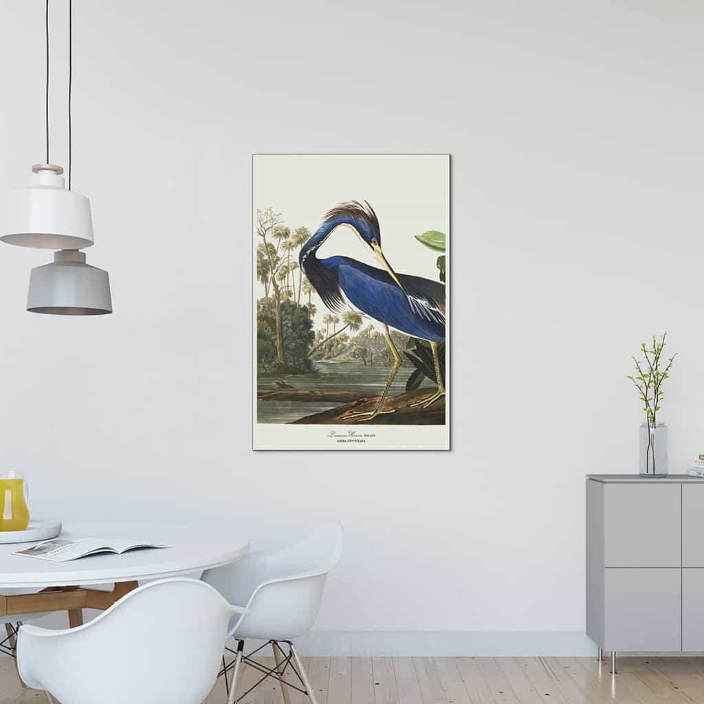 Louisiana Heron