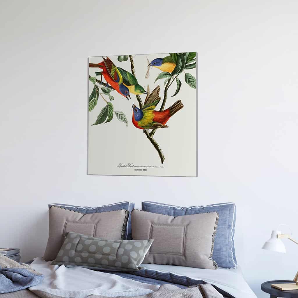 Geschilderde vink