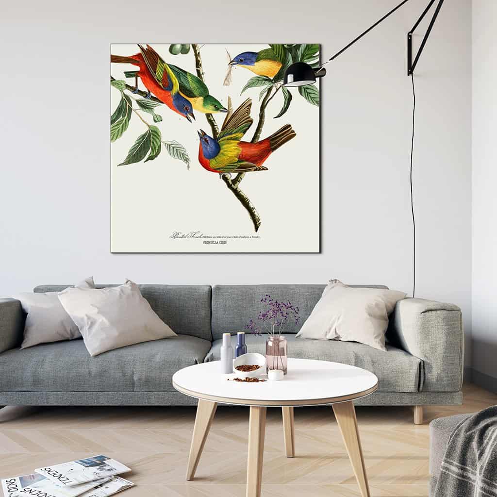 Geschilderde vink