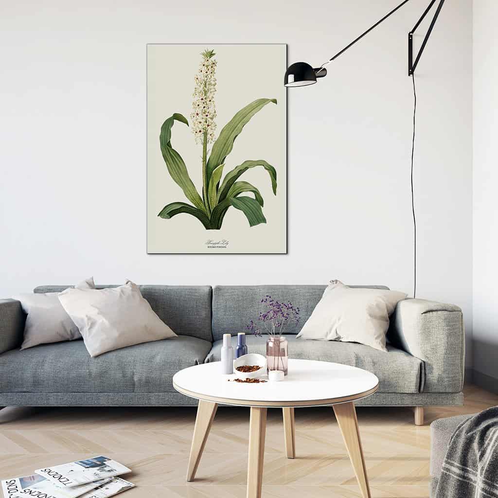 Ananas Lelie