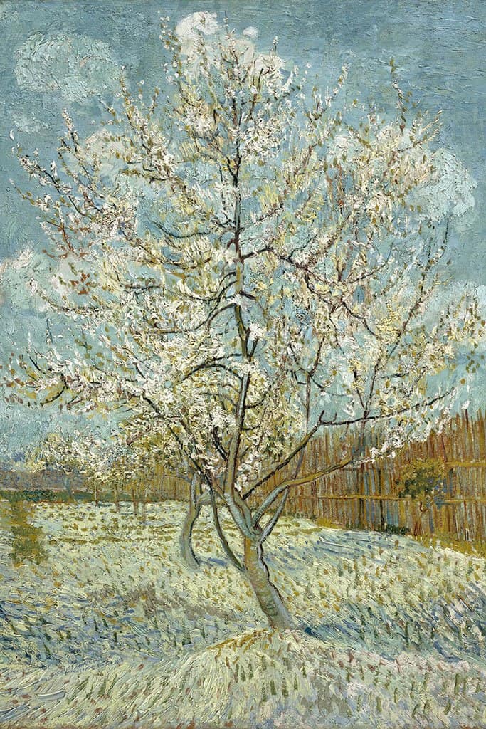 Roze perzik boom (Vincent van Gogh)