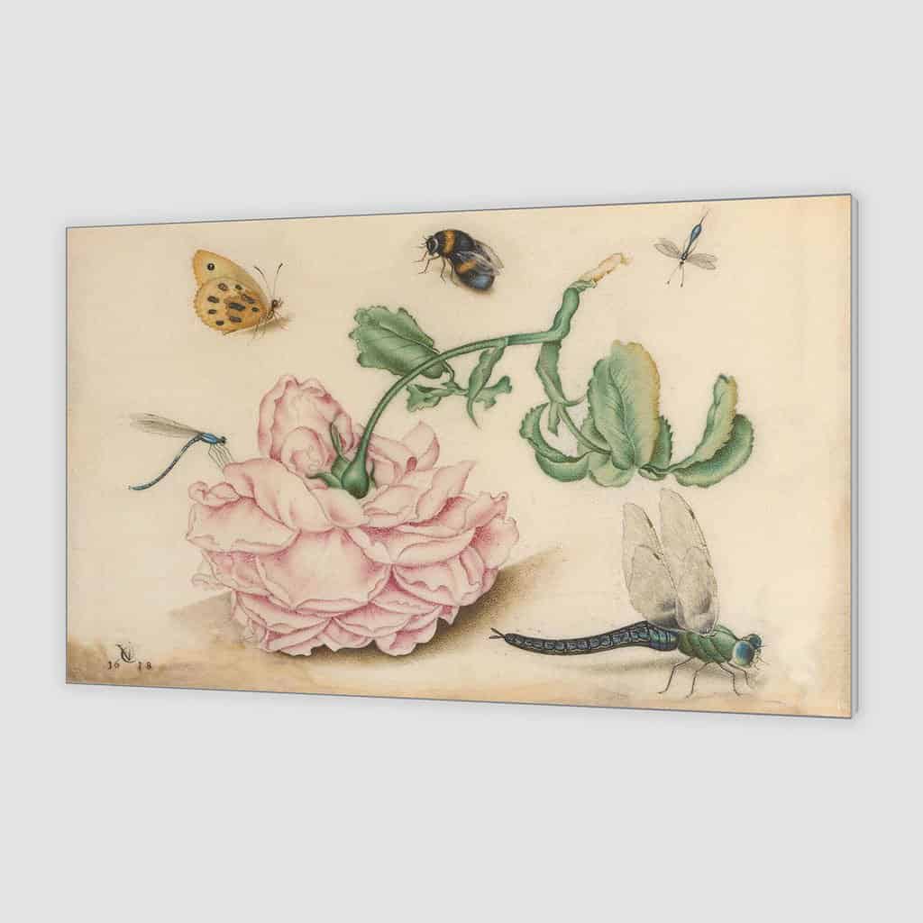 Roos met vijf insecten (Christoffel van den Berghe)