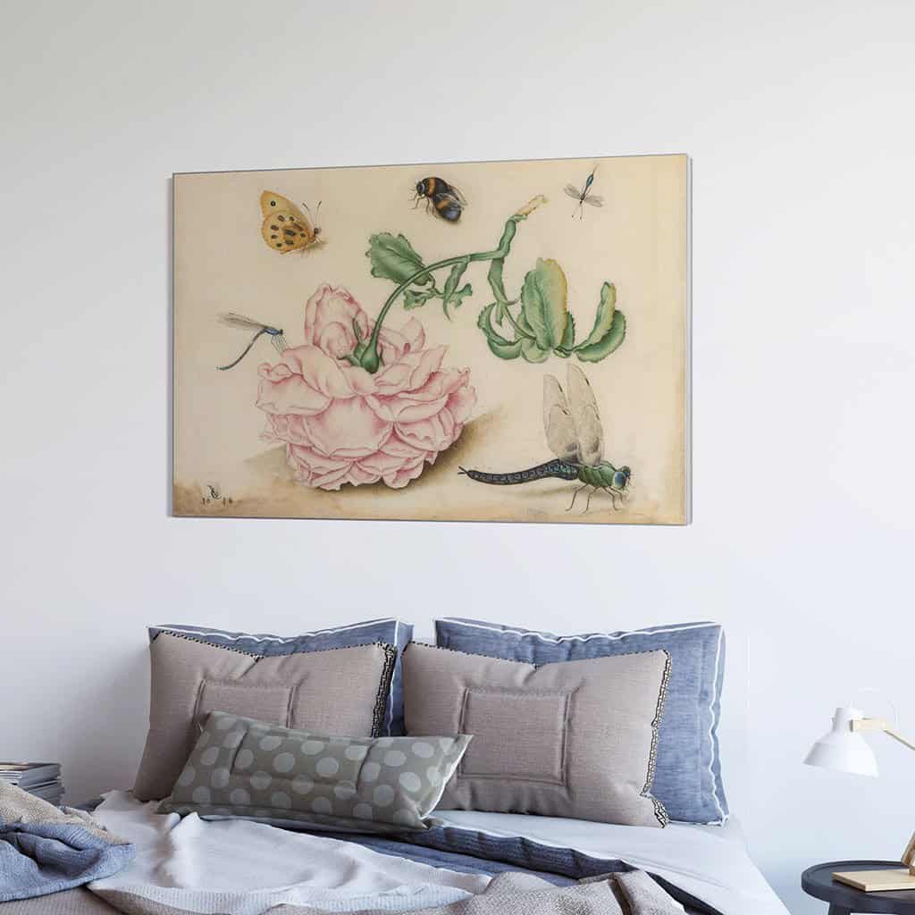 Roos met vijf insecten (Christoffel van den Berghe)