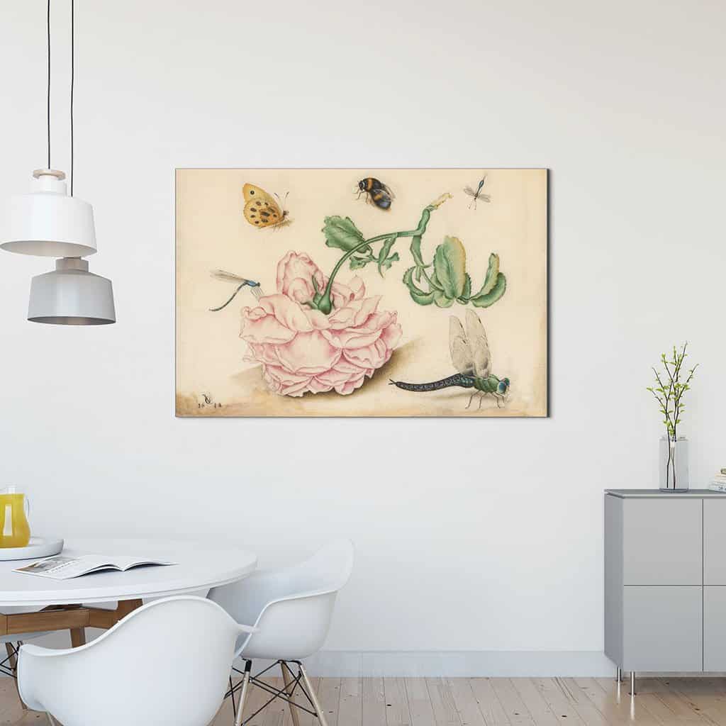 Roos met vijf insecten (Christoffel van den Berghe)