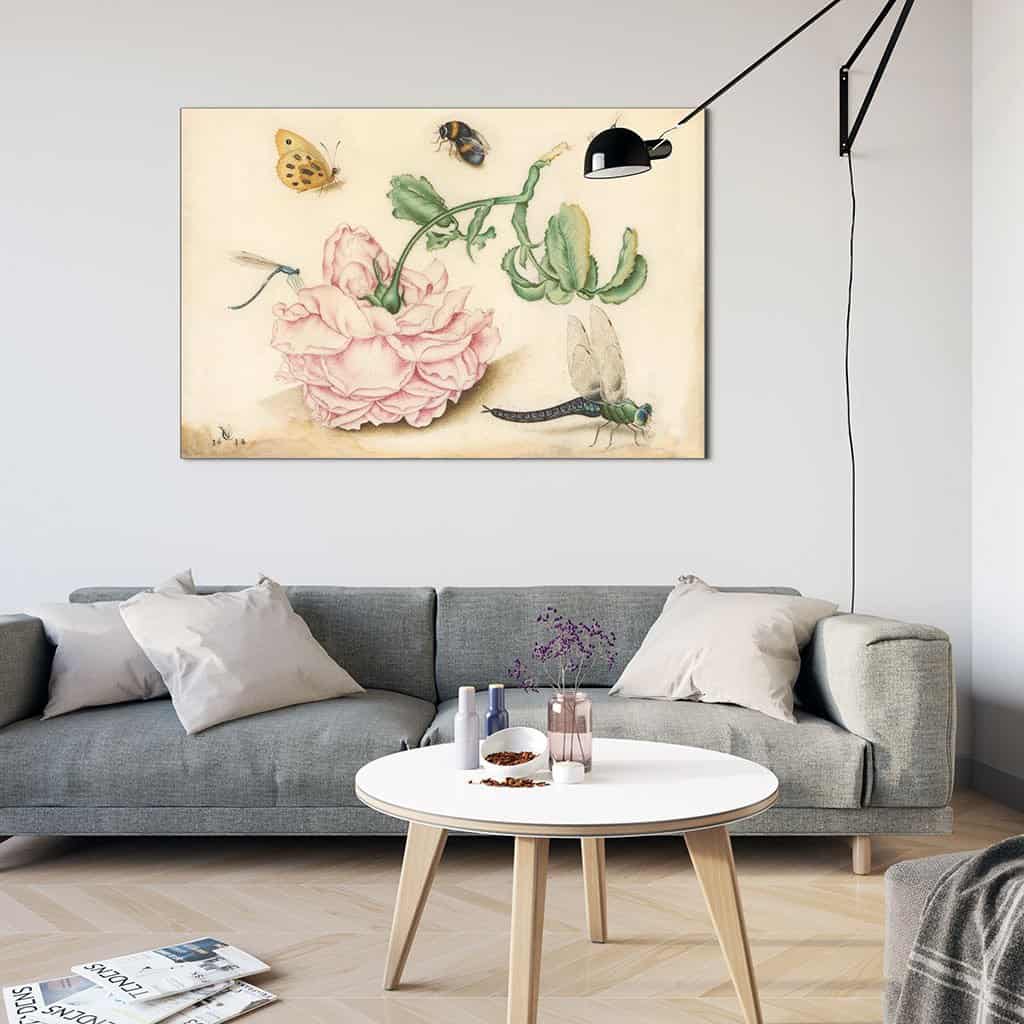 Roos met vijf insecten (Christoffel van den Berghe)