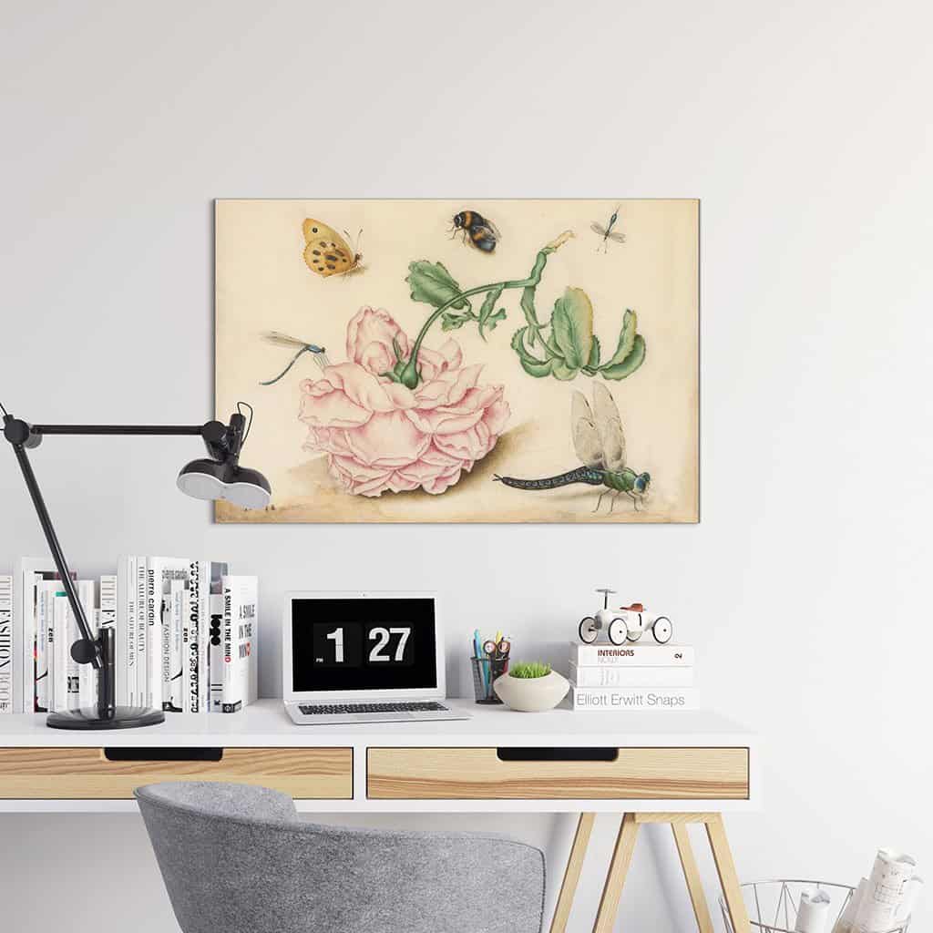 Roos met vijf insecten (Christoffel van den Berghe)