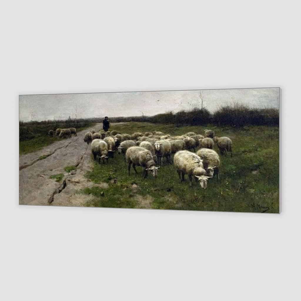 Schapen op de Heide (Anton Mauve)