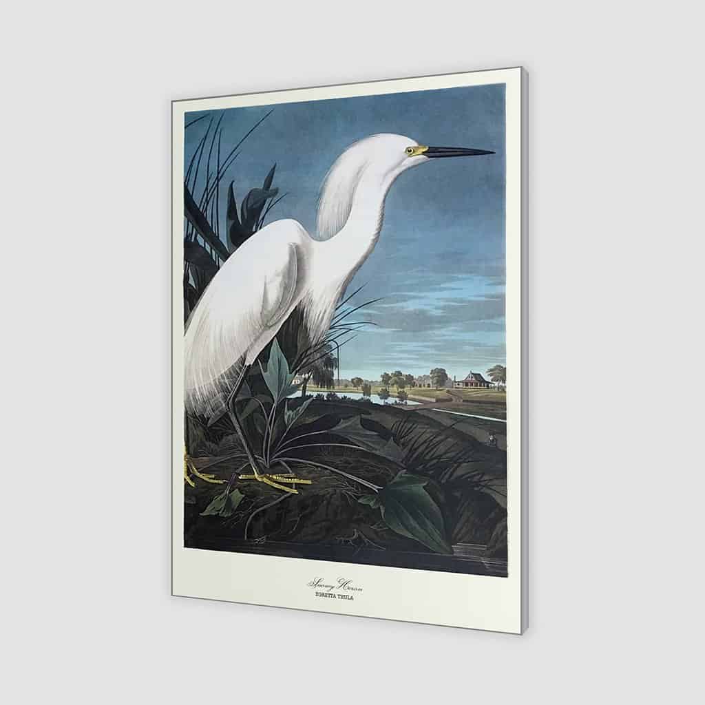 Besneeuwde reiger
