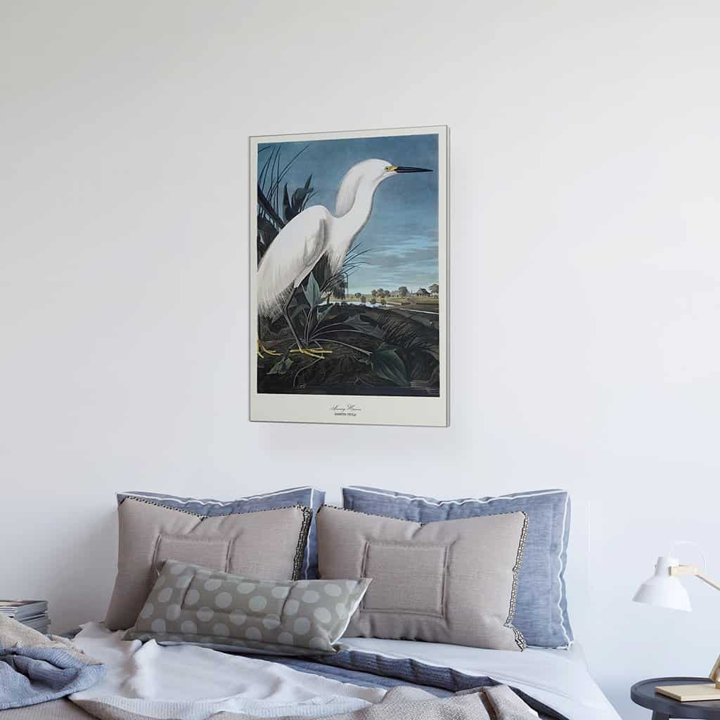Besneeuwde reiger