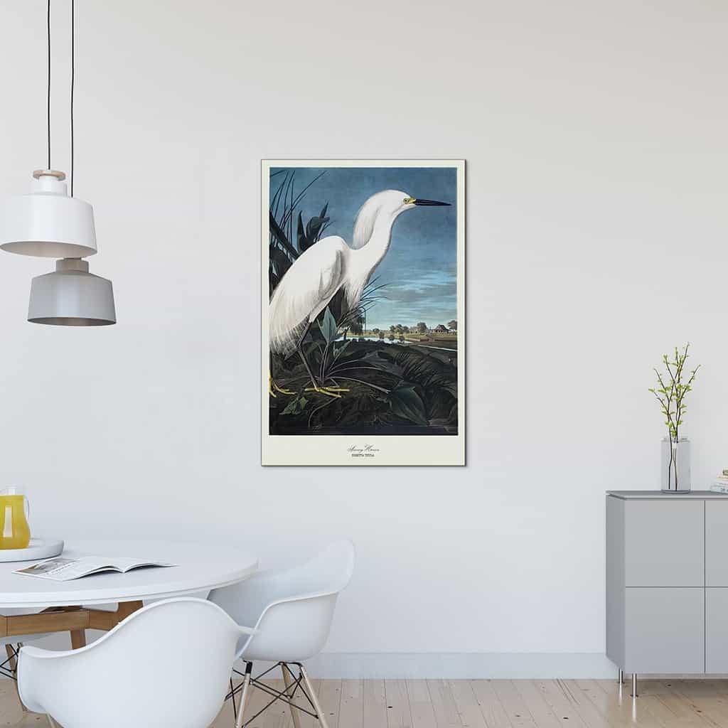 Besneeuwde reiger