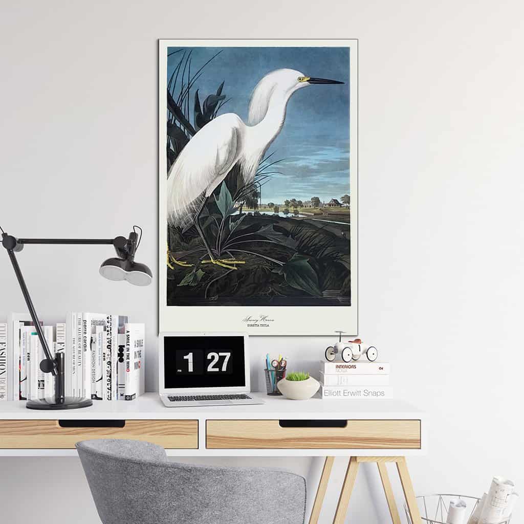 Besneeuwde reiger