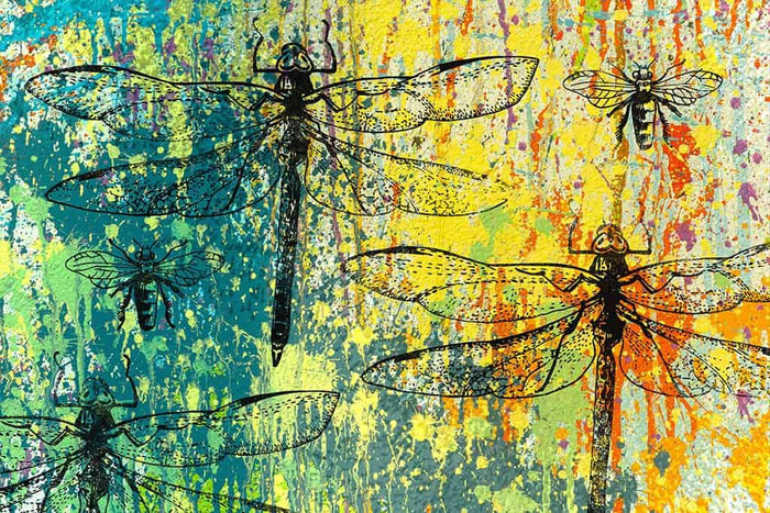 Stencil Dragonfly op de muur