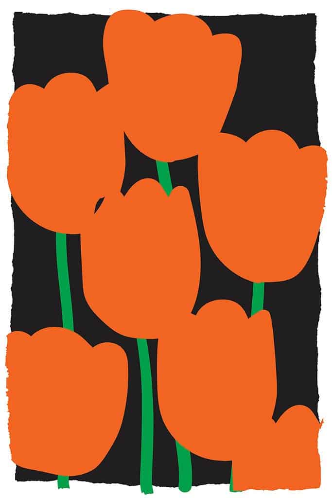 Naïeve tulpen