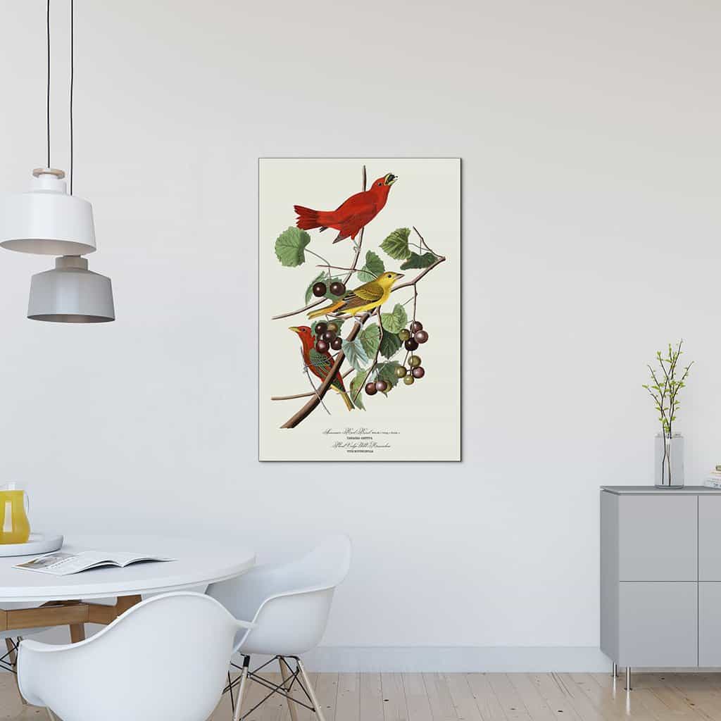 Zomer rode vogel