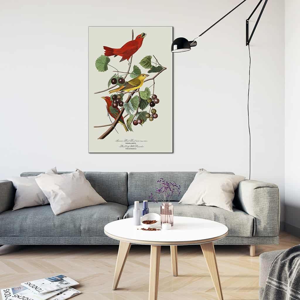 Zomer rode vogel