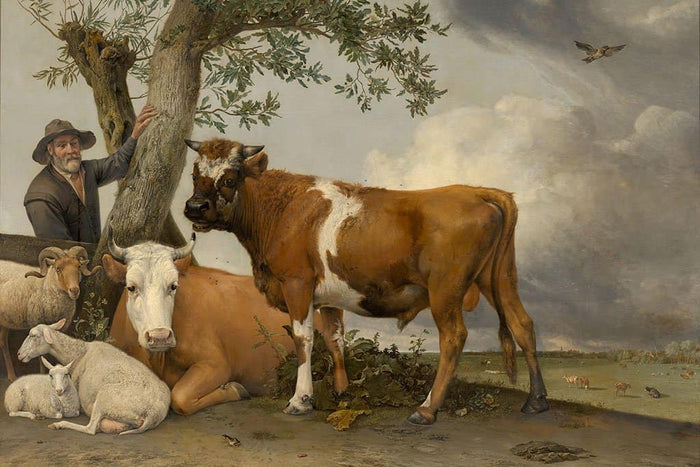 De stier (Paulus Potter)
