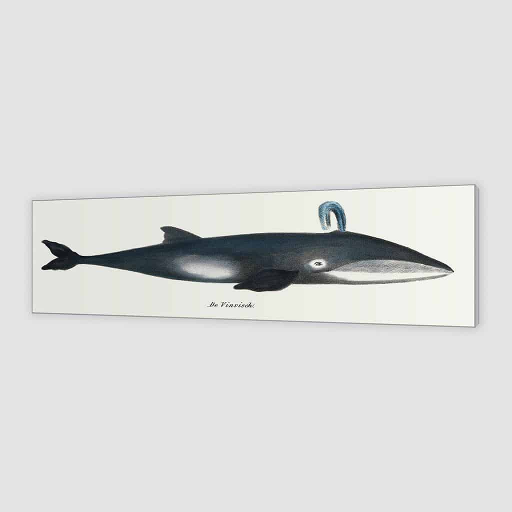 De walvis