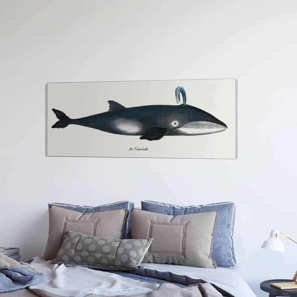 De walvis