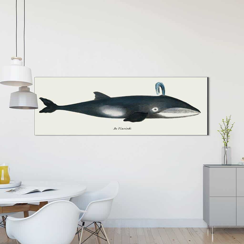 De walvis