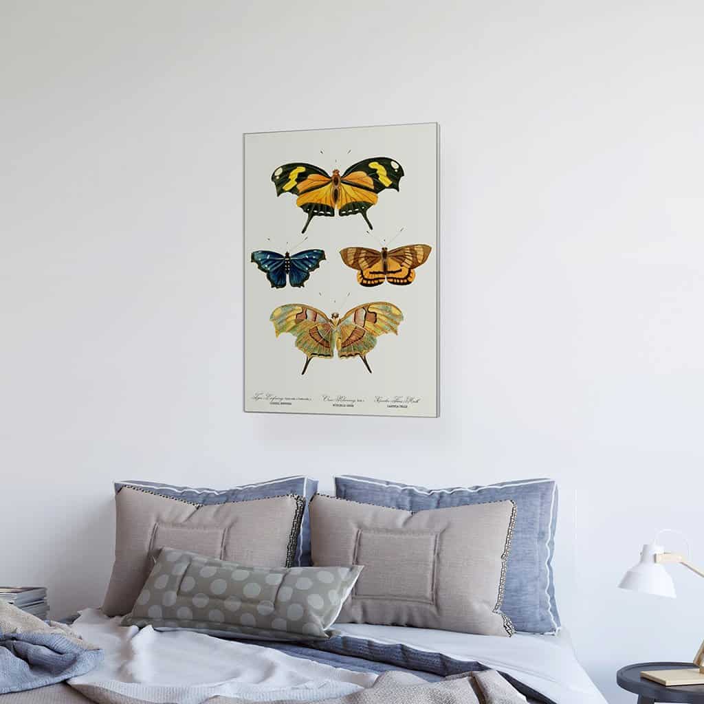Yellow butterflies