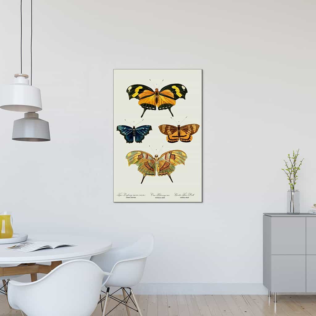 Yellow butterflies