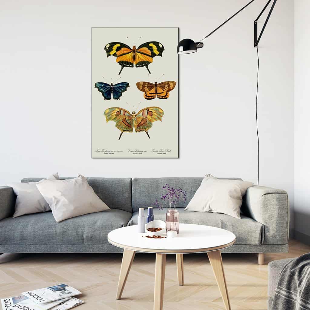 Yellow butterflies