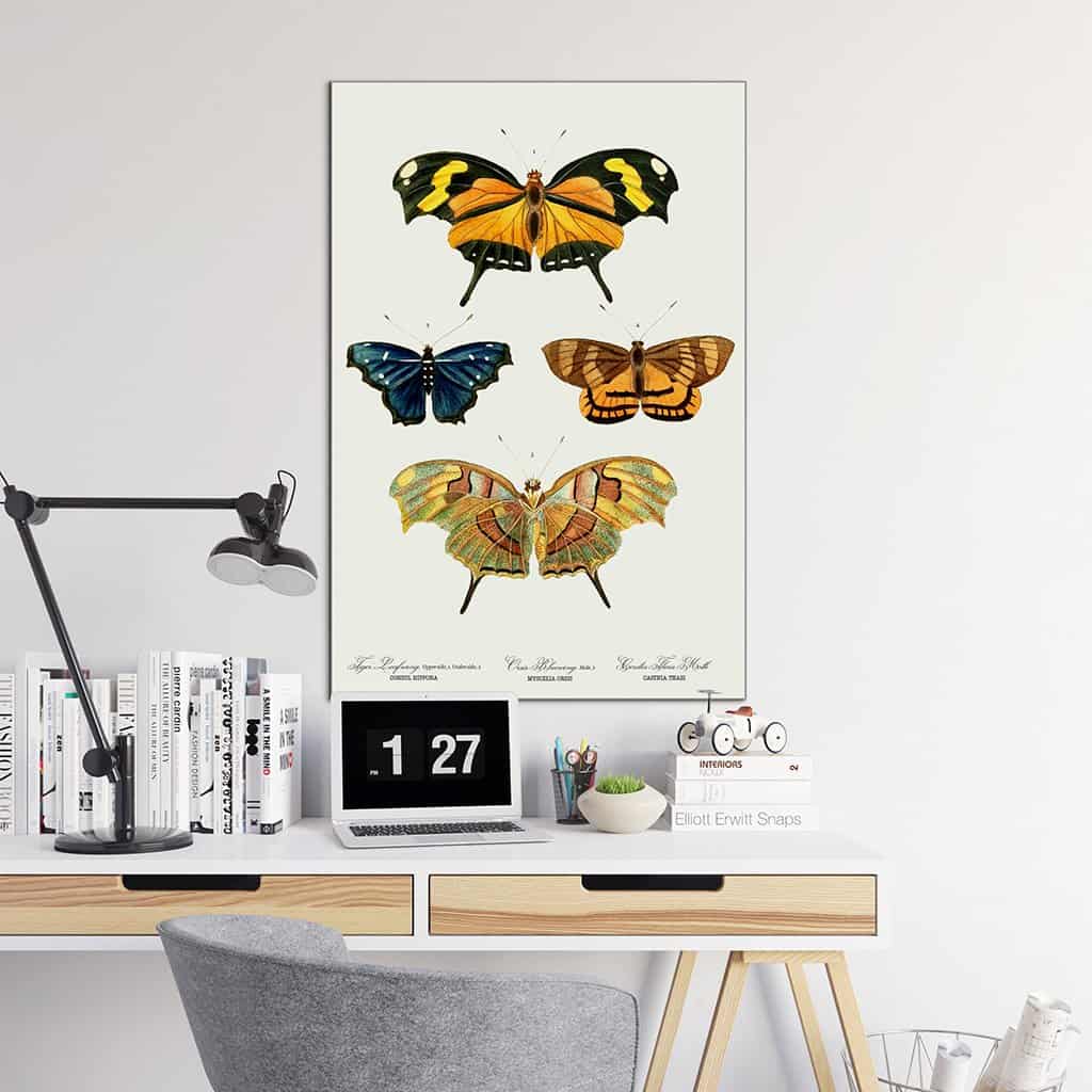 Yellow butterflies