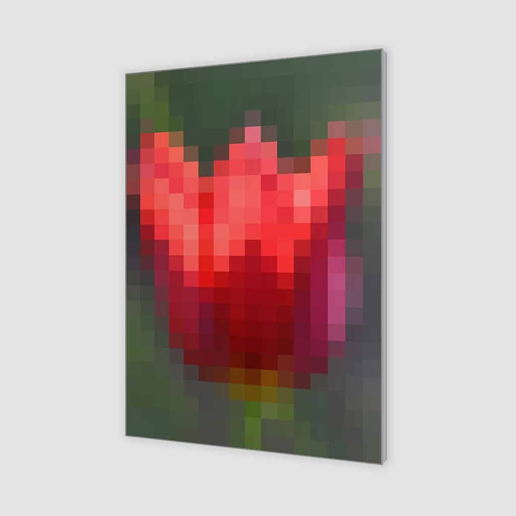 Tulp - Pixel Art